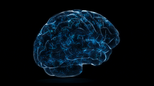 Responsive Centered Image